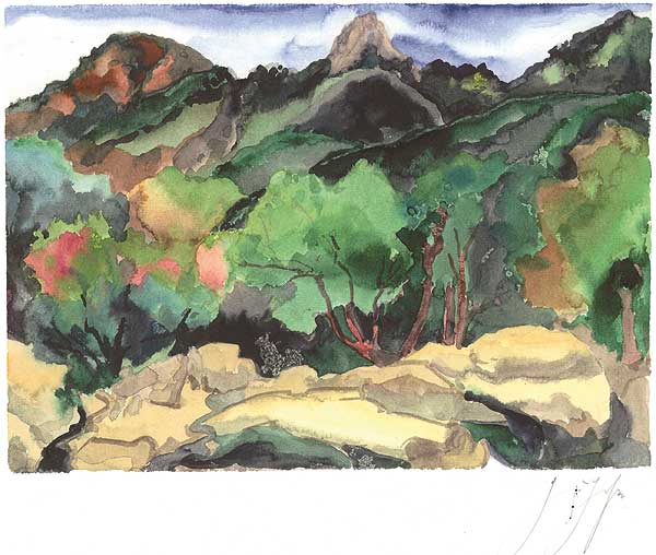  Südliche Landschaft 