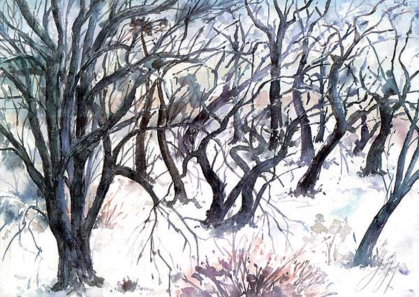  Baumlandschaft im Winter 