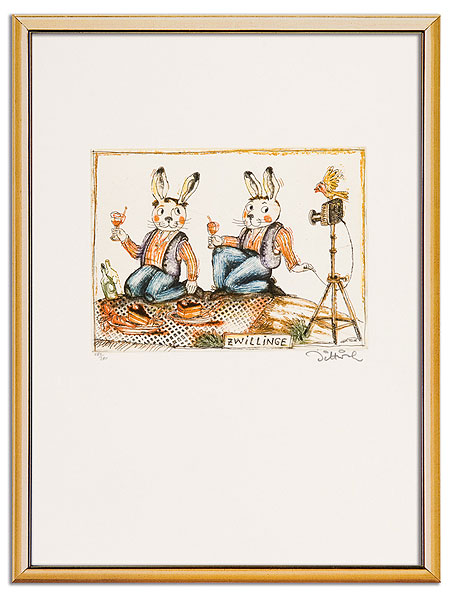  Sternzeichen Zwillinge 