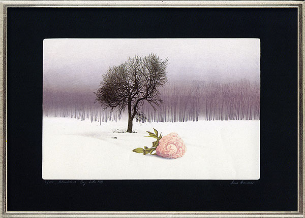  Stimmungen (Mappe mit 3 Blättern) 