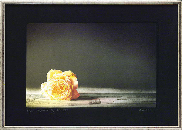  Stimmungen (Mappe mit 3 Blättern) 