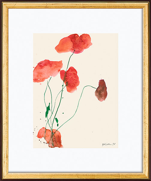  Roter Mohn mit grünen Stängeln 