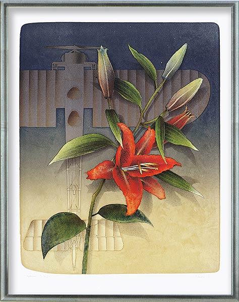  Feuerlilie und Flugzeug 