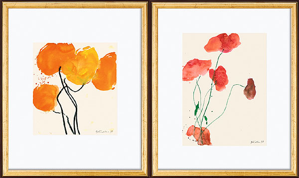  Oranger Mohn | Roter Mohn (Set) 