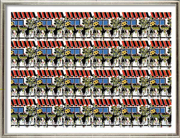  Helianthus und Cucumis 