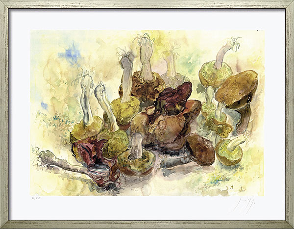  Stillleben mit Pilzen 