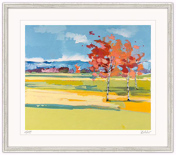  Birken in der Rheinebene 