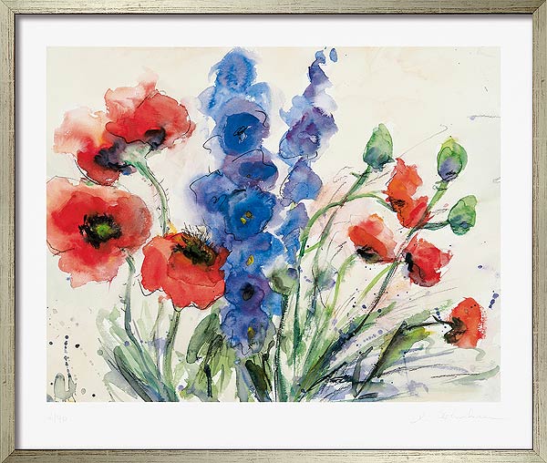  Klatschmohn mit Rittersporn 