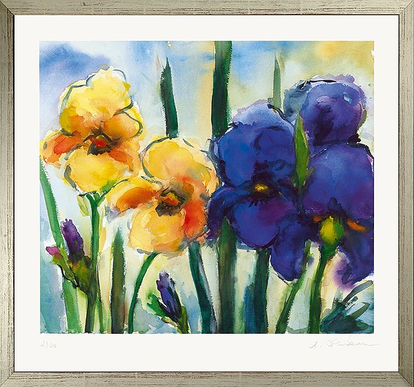  Iris gelb und blau 